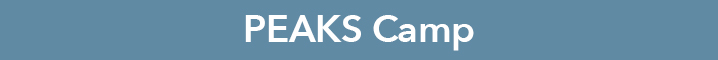 Camp Button