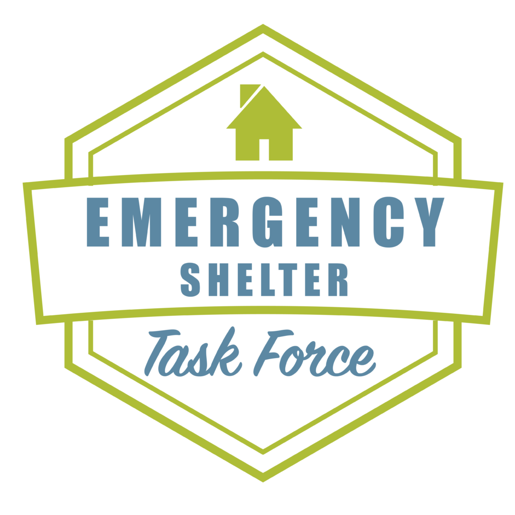 An Update on the Emergency Shelter Task Force